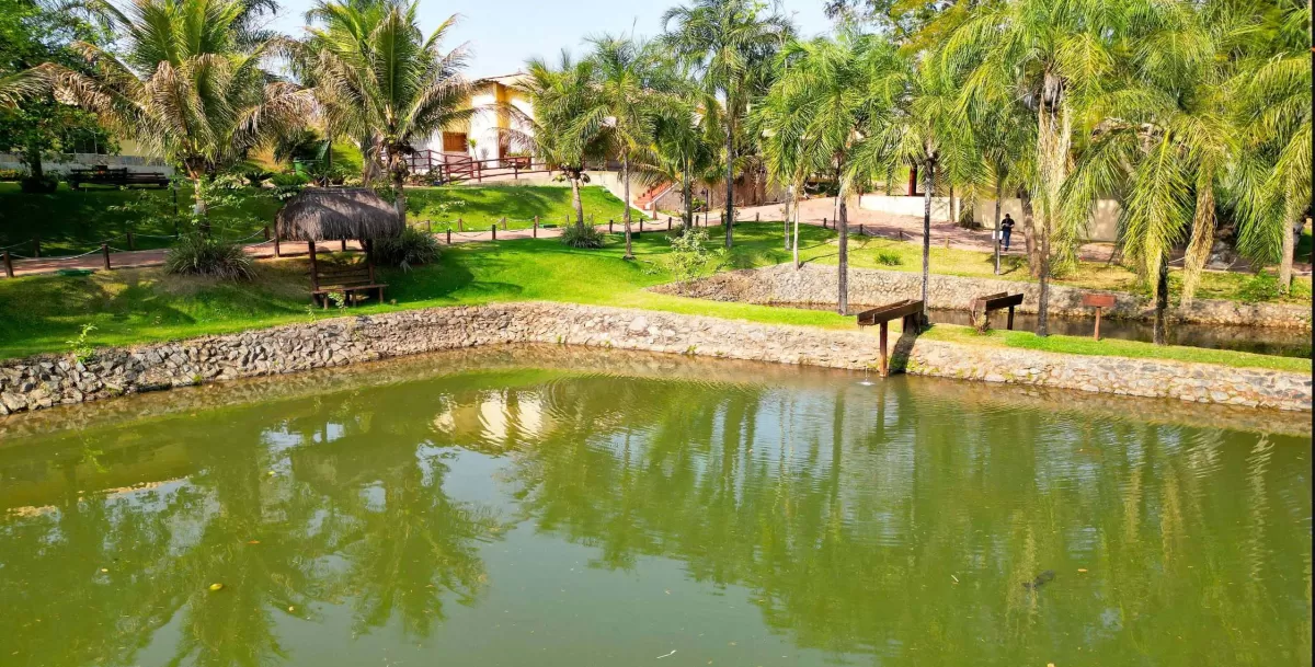 Bela Vista de Goiás