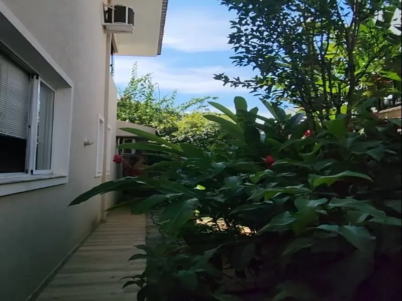 Alphaville Flamboyant