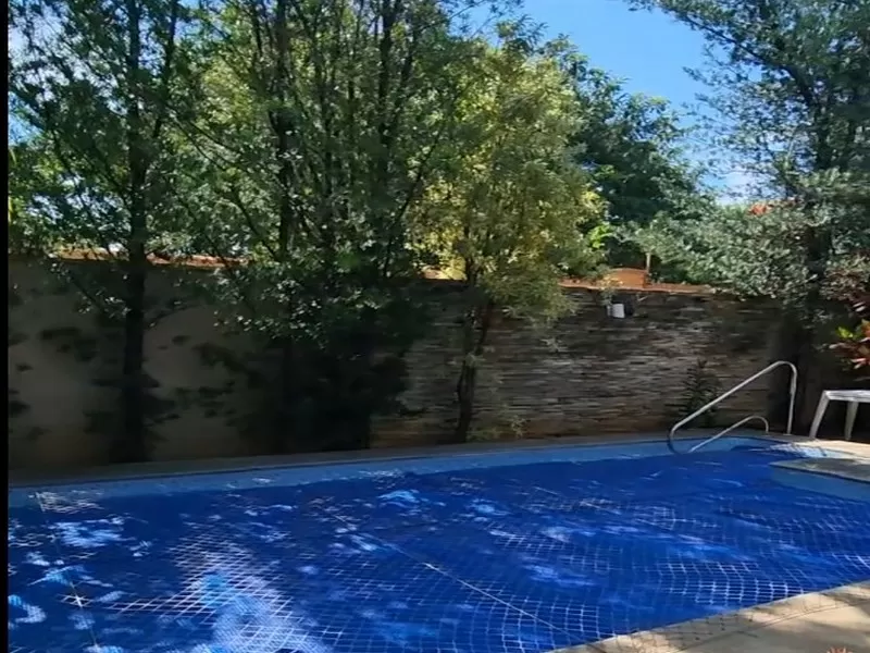 Alphaville Flamboyant