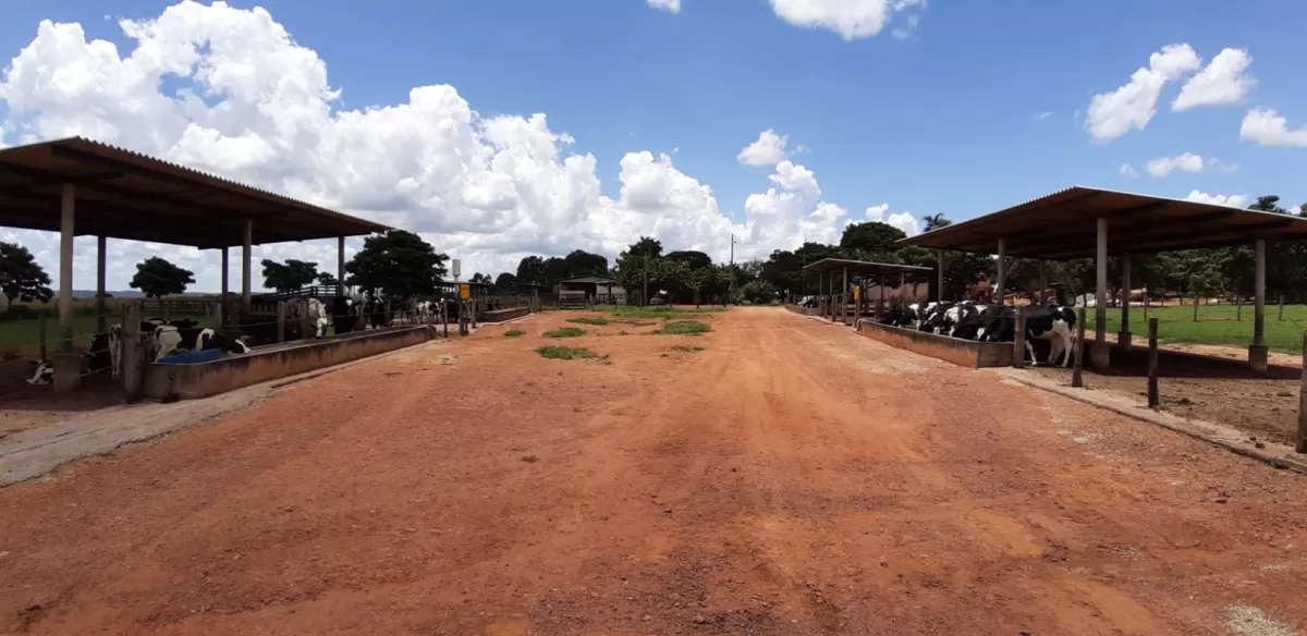 Fazenda 18 alqueires