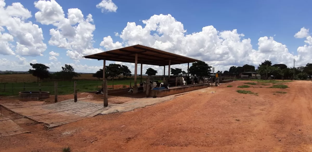 Fazenda 18 alqueires