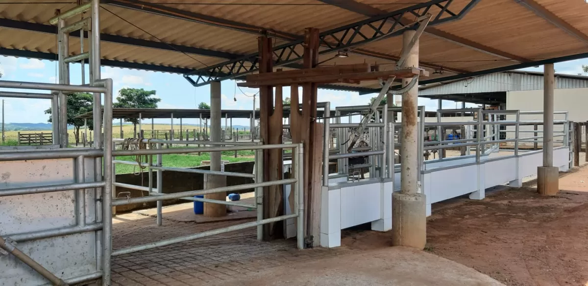 Fazenda 18 alqueires