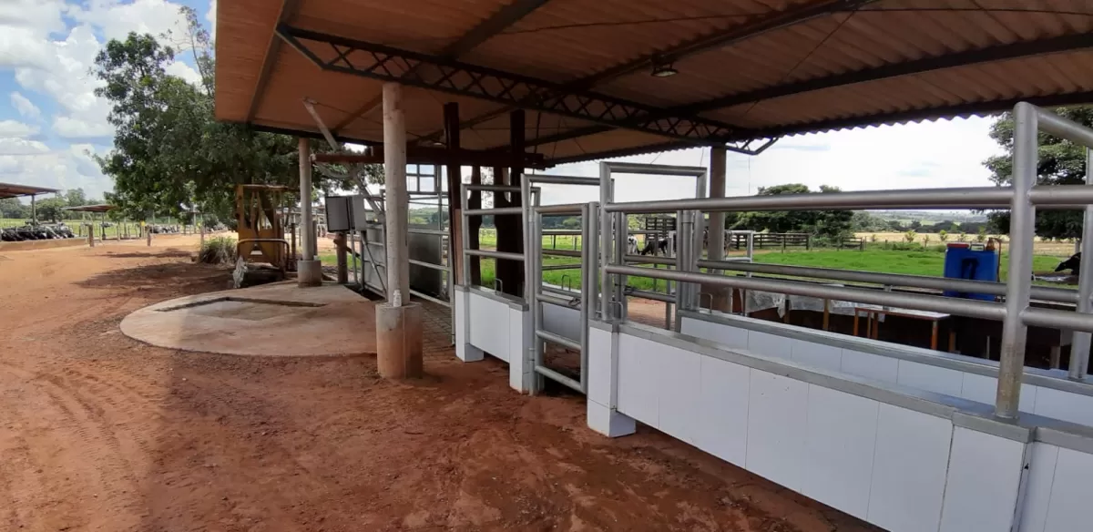 Fazenda 18 alqueires