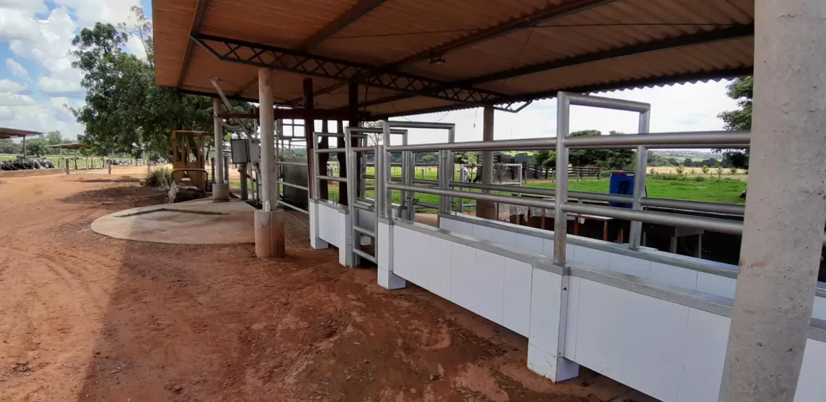 Fazenda 18 alqueires