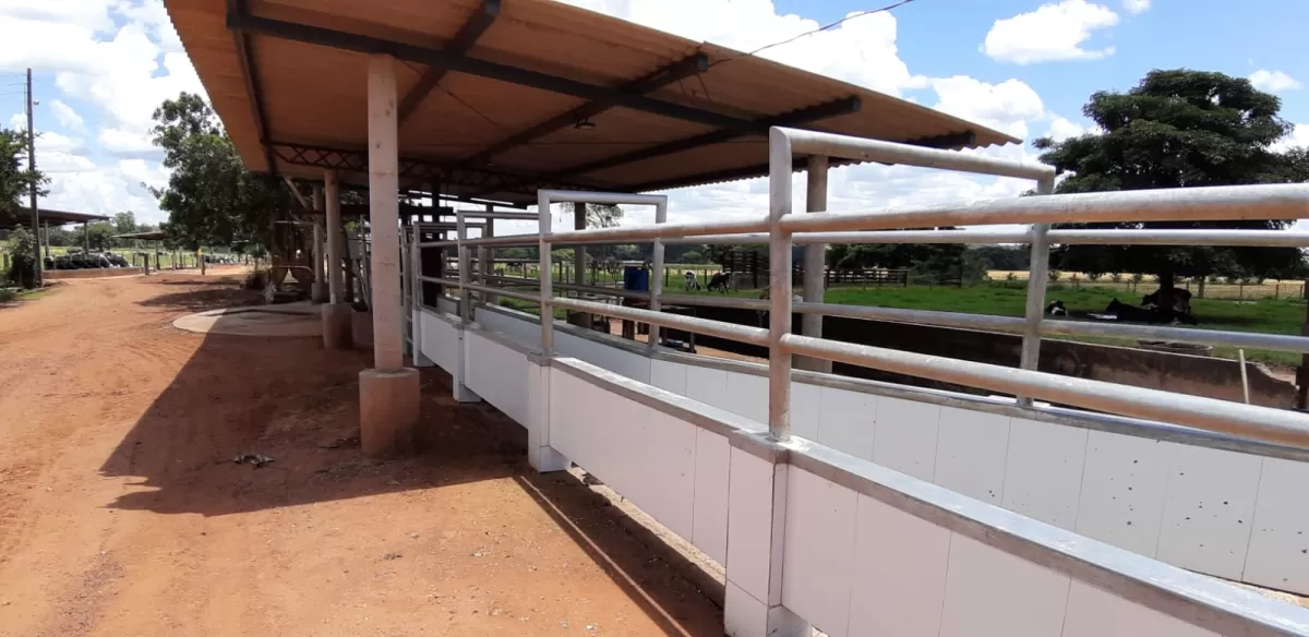 Fazenda 18 alqueires