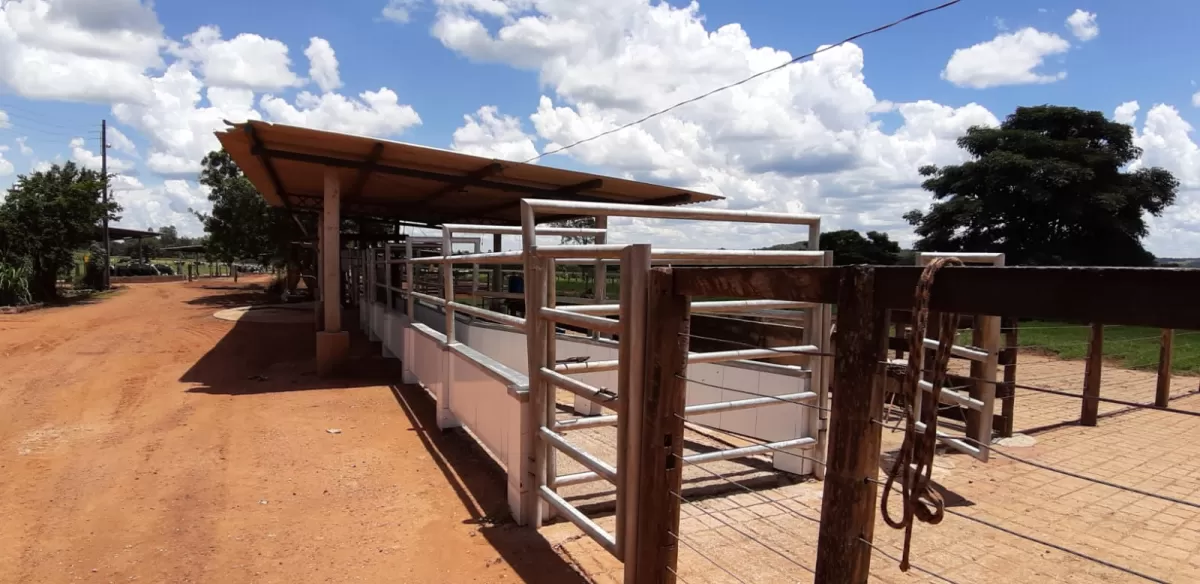 Fazenda 18 alqueires