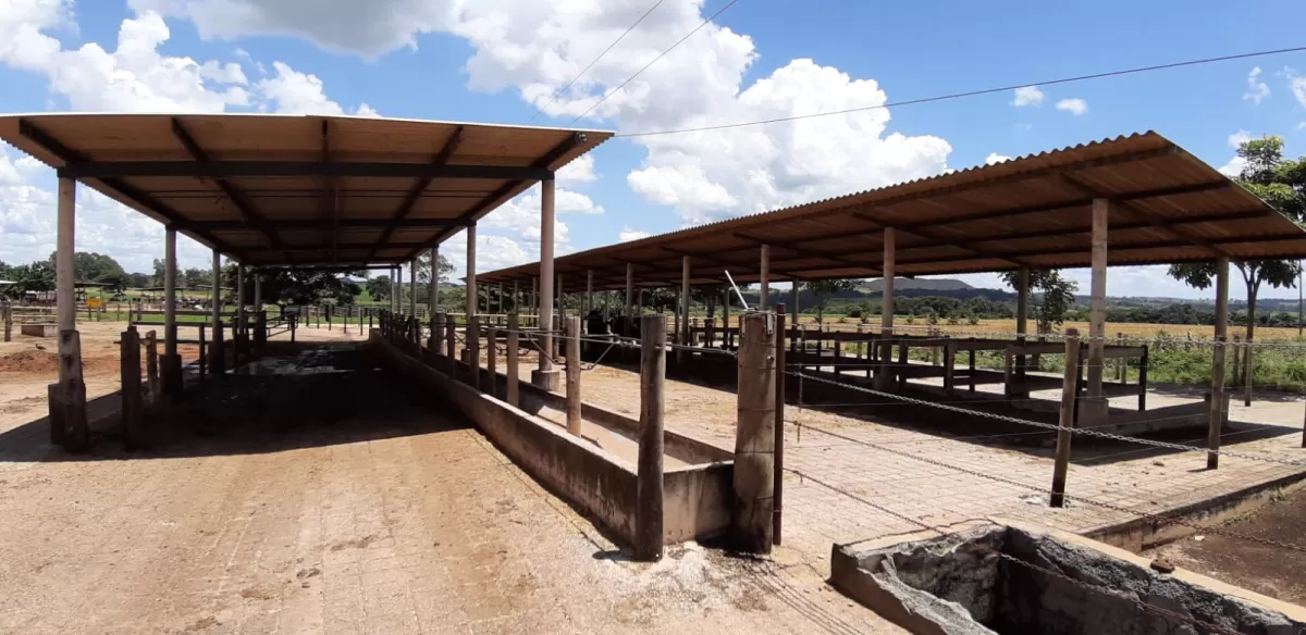 Fazenda 18 alqueires