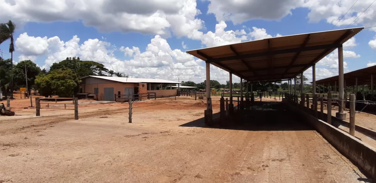 Fazenda 18 alqueires