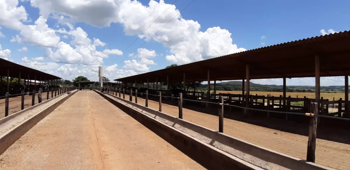 Fazenda 18 alqueires