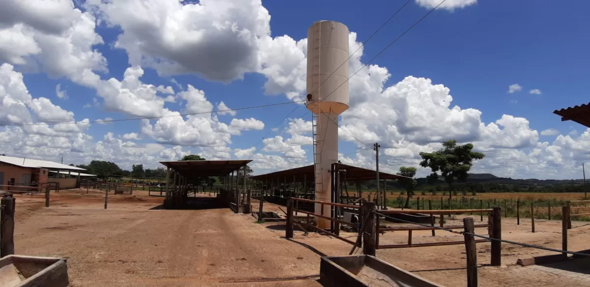 Fazenda 18 alqueires