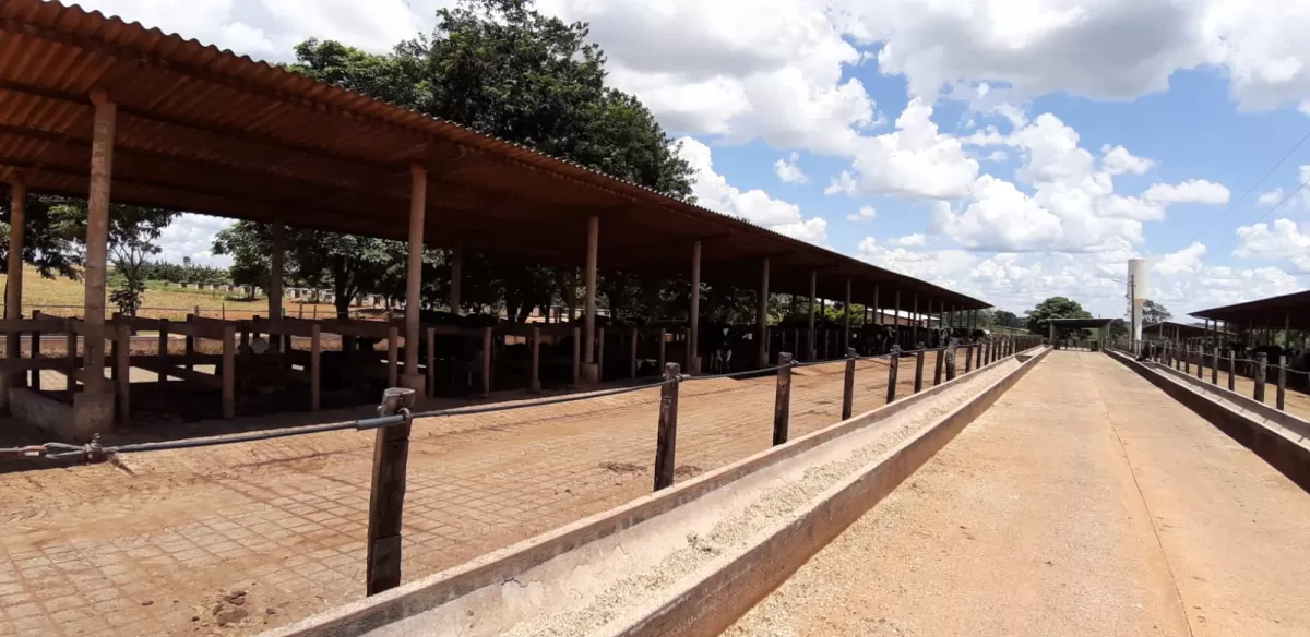 Fazenda 18 alqueires