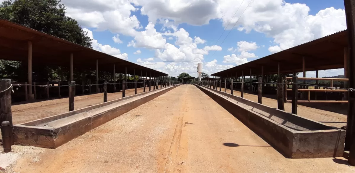 Fazenda 18 alqueires