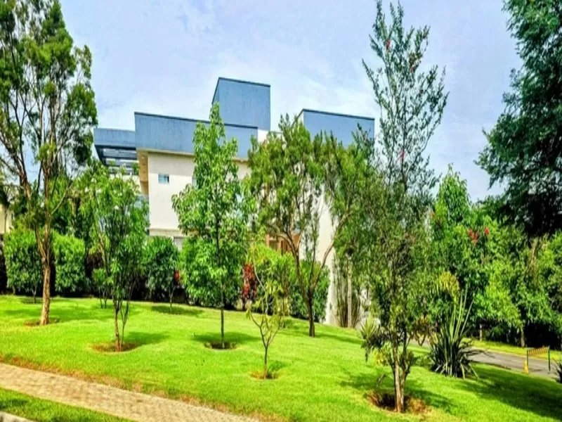 Residencial dos Ipês Alphaville 