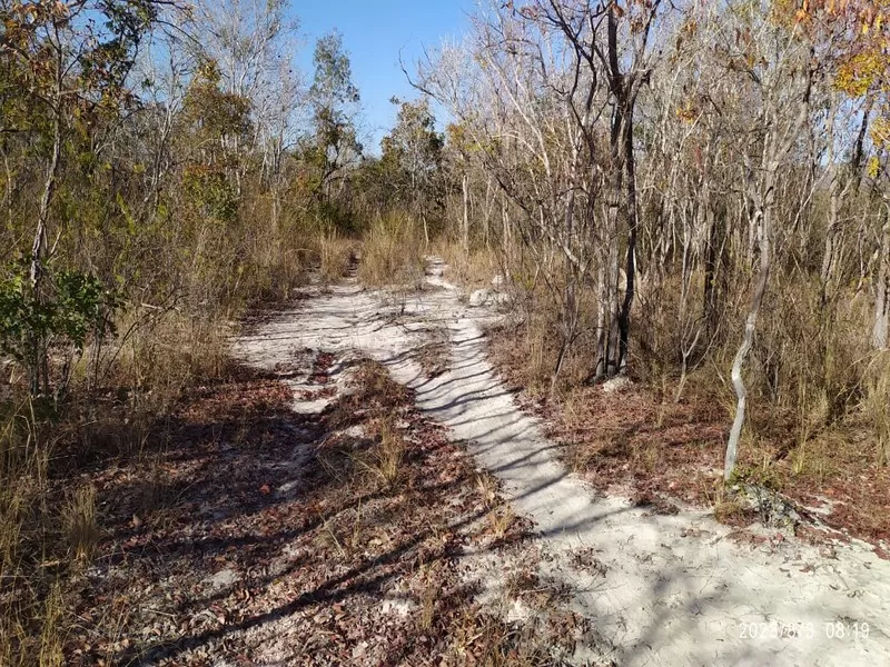 Monte Alegre de Goiás
