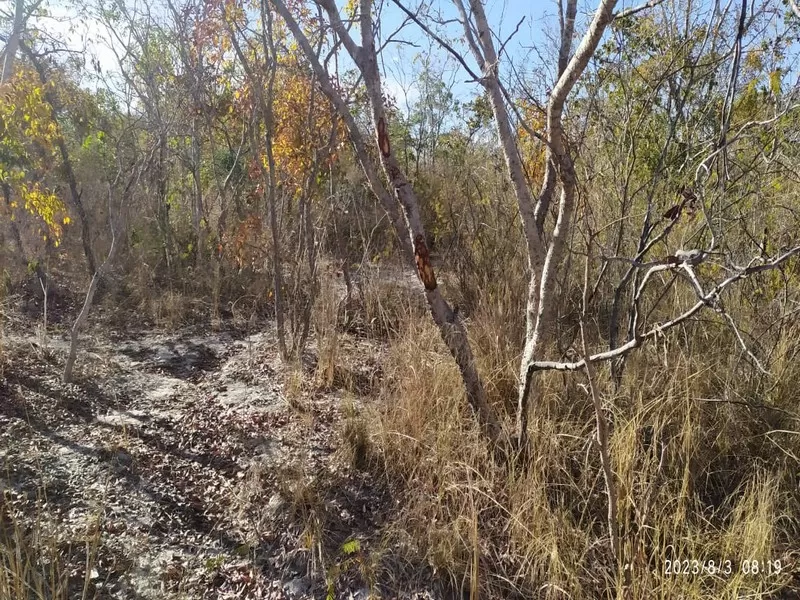 Monte Alegre de Goiás