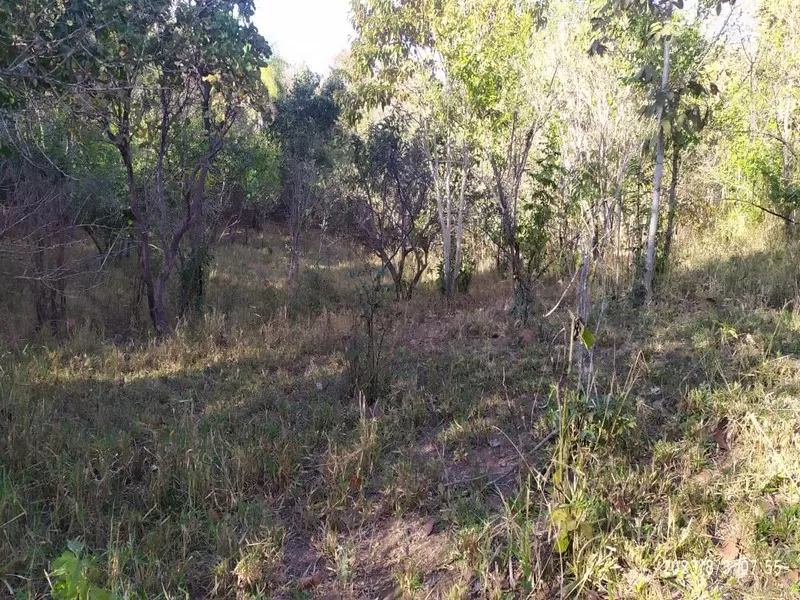 Monte Alegre de Goiás