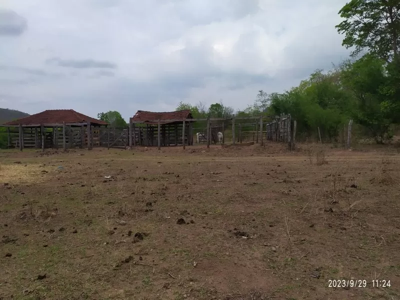Monte Alegre de Goiás