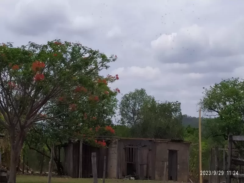 Monte Alegre de Goiás