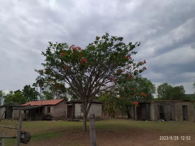 Monte Alegre de Goiás
