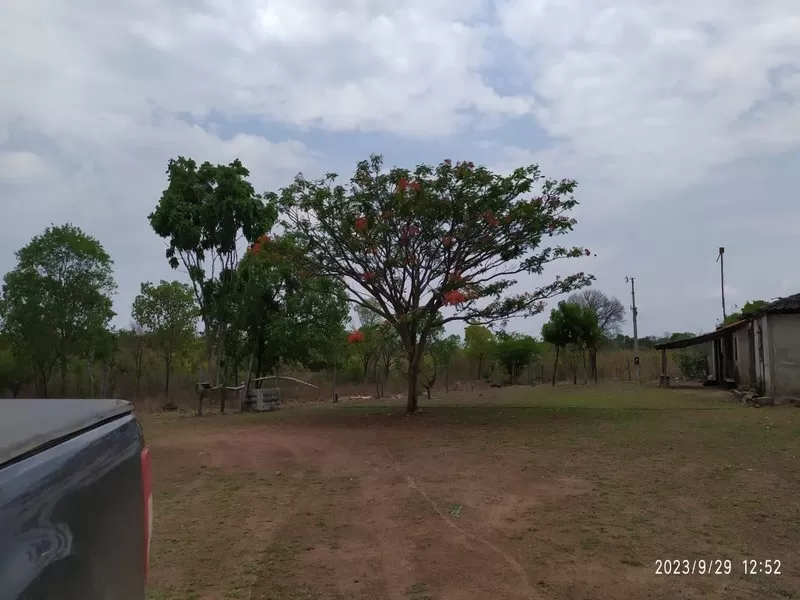 Monte Alegre de Goiás